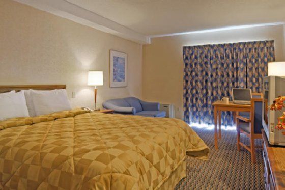 Comfort Inn Owen Sound Bilik gambar